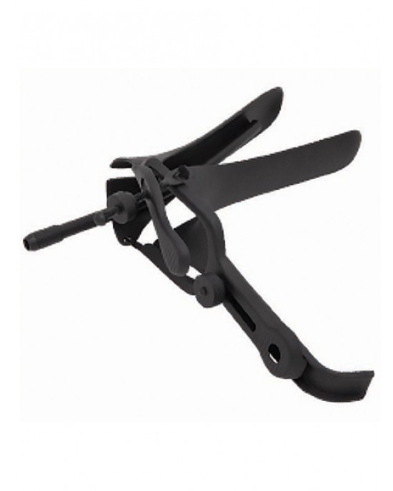 Pederson Graves Speculum