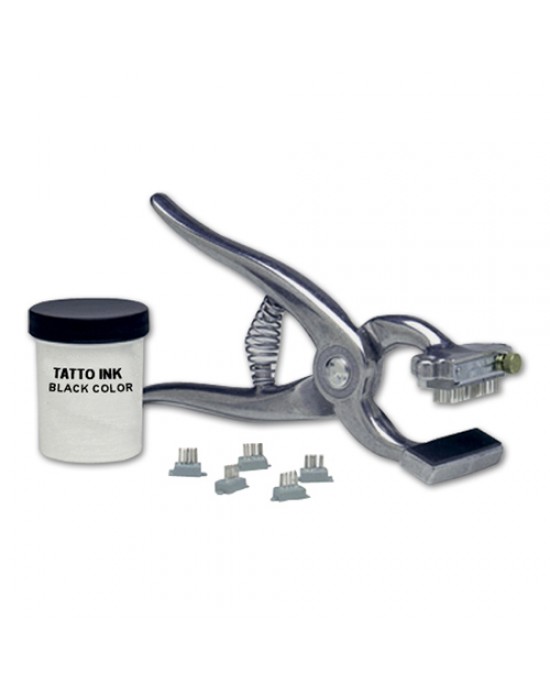 DFall Animal Tatoo Outfit